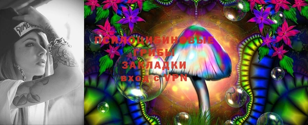 дурь Алексеевка