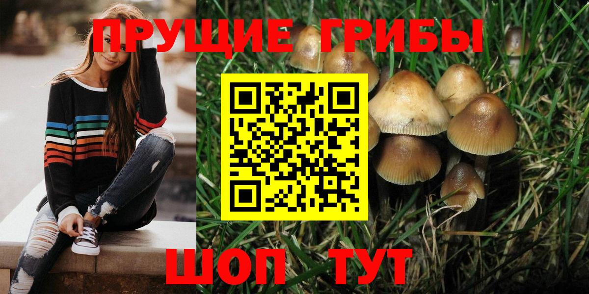 Борзя  Псилоцибиновые грибы мицелий  Псилоцибиновые грибы Magic Shrooms  даркнет сайт  Вход с VPN 