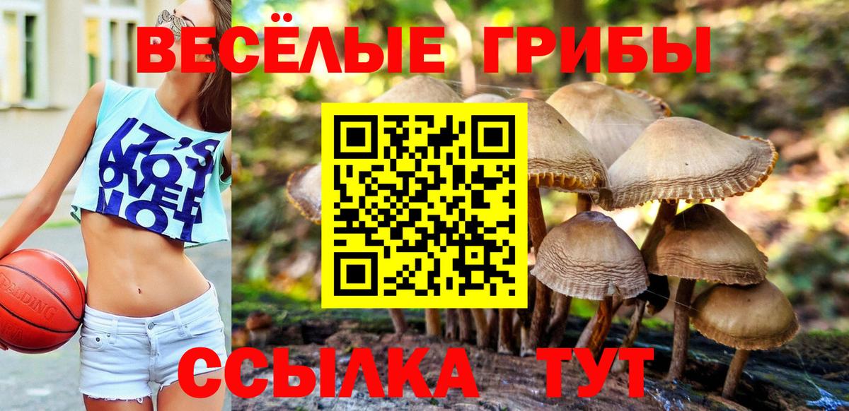 ЭКСТАЗИ Борзя