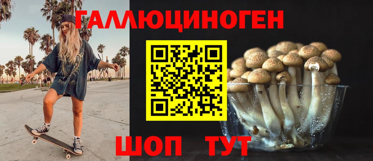 Галлюциногенные грибы Cubensis Борзя