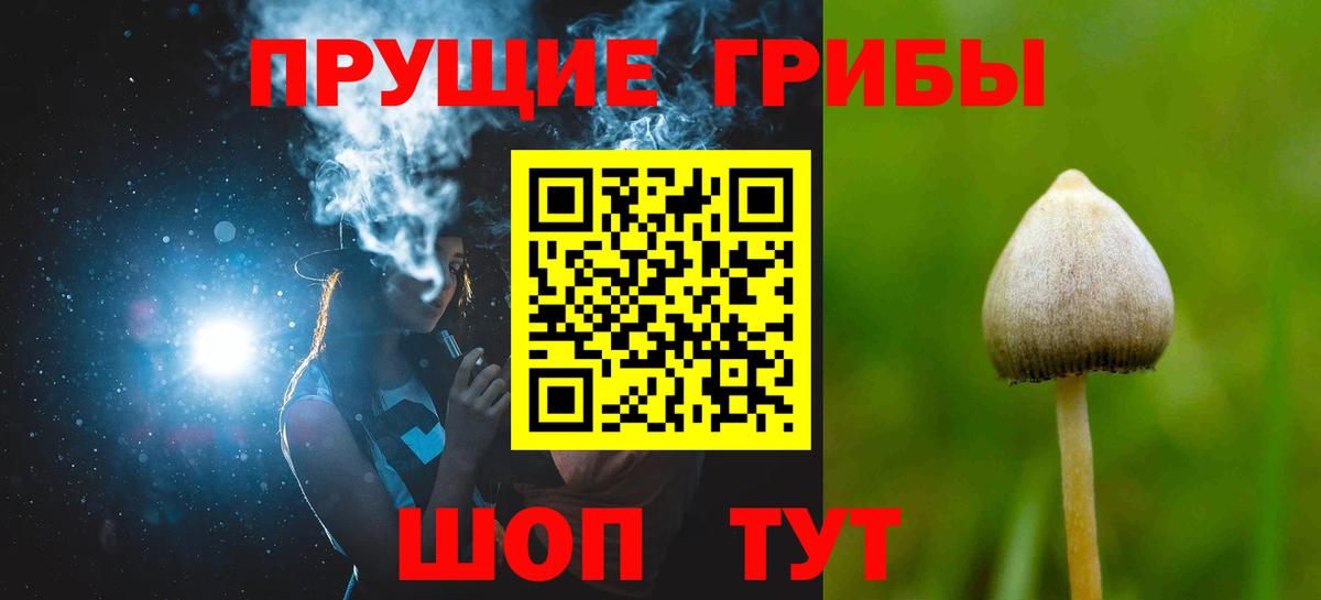 цена   Борзя  Галлюциногенные грибы Magic Shrooms  Псилоцибиновые грибы мухоморы 