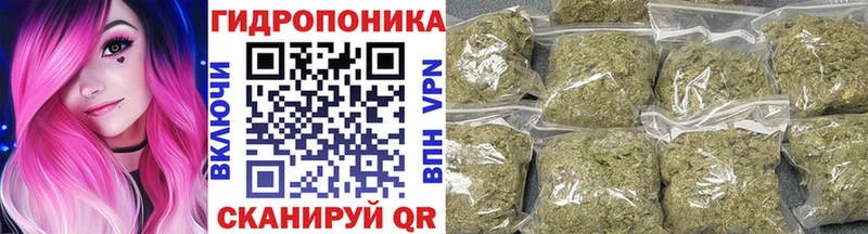 как найти закладки Борзя Бошки марихуана гибрид